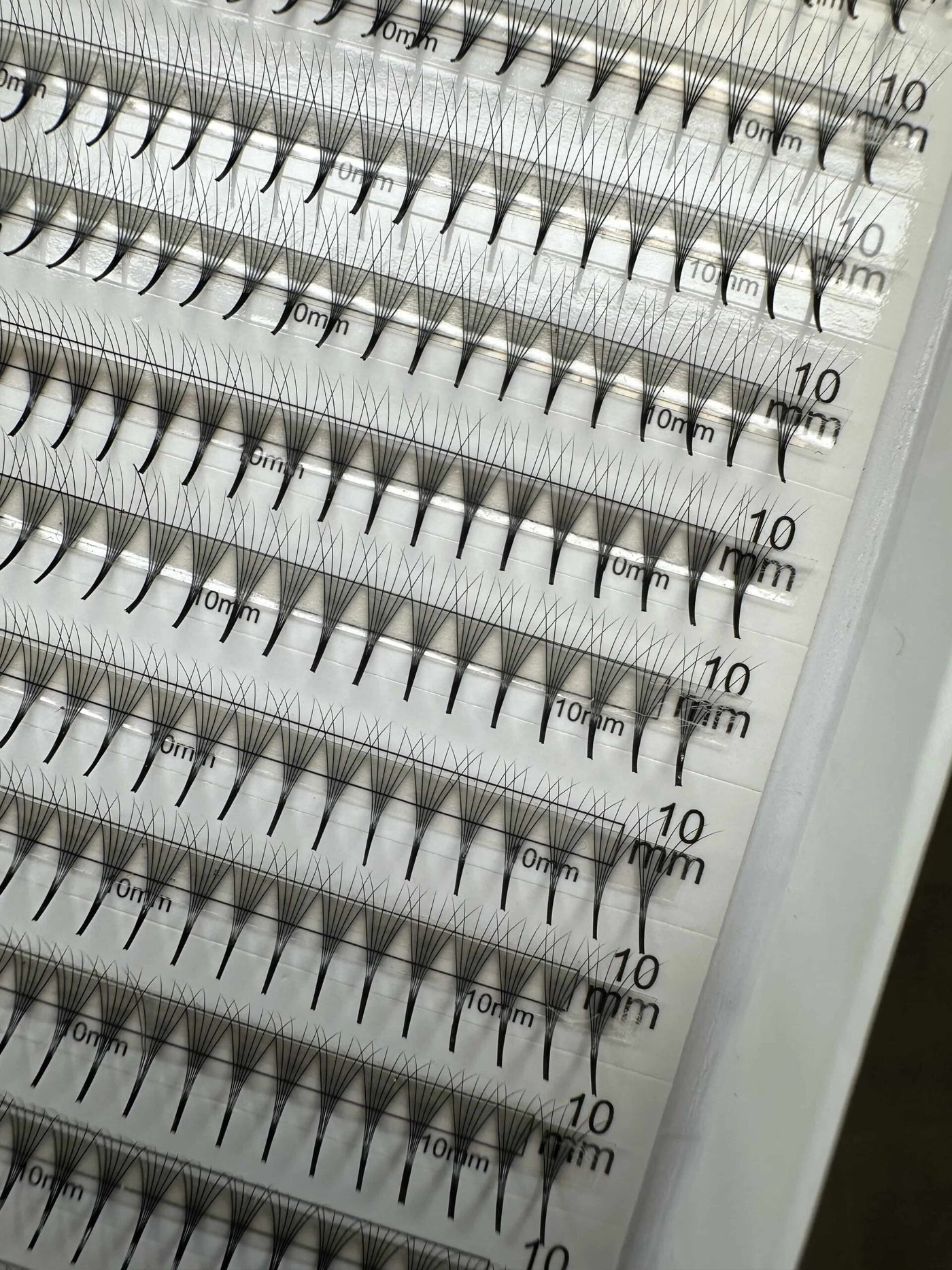 Valmislehvikud pruunid 5D (0.07)