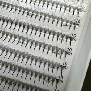 Valmislehvikud 10D (0.07)